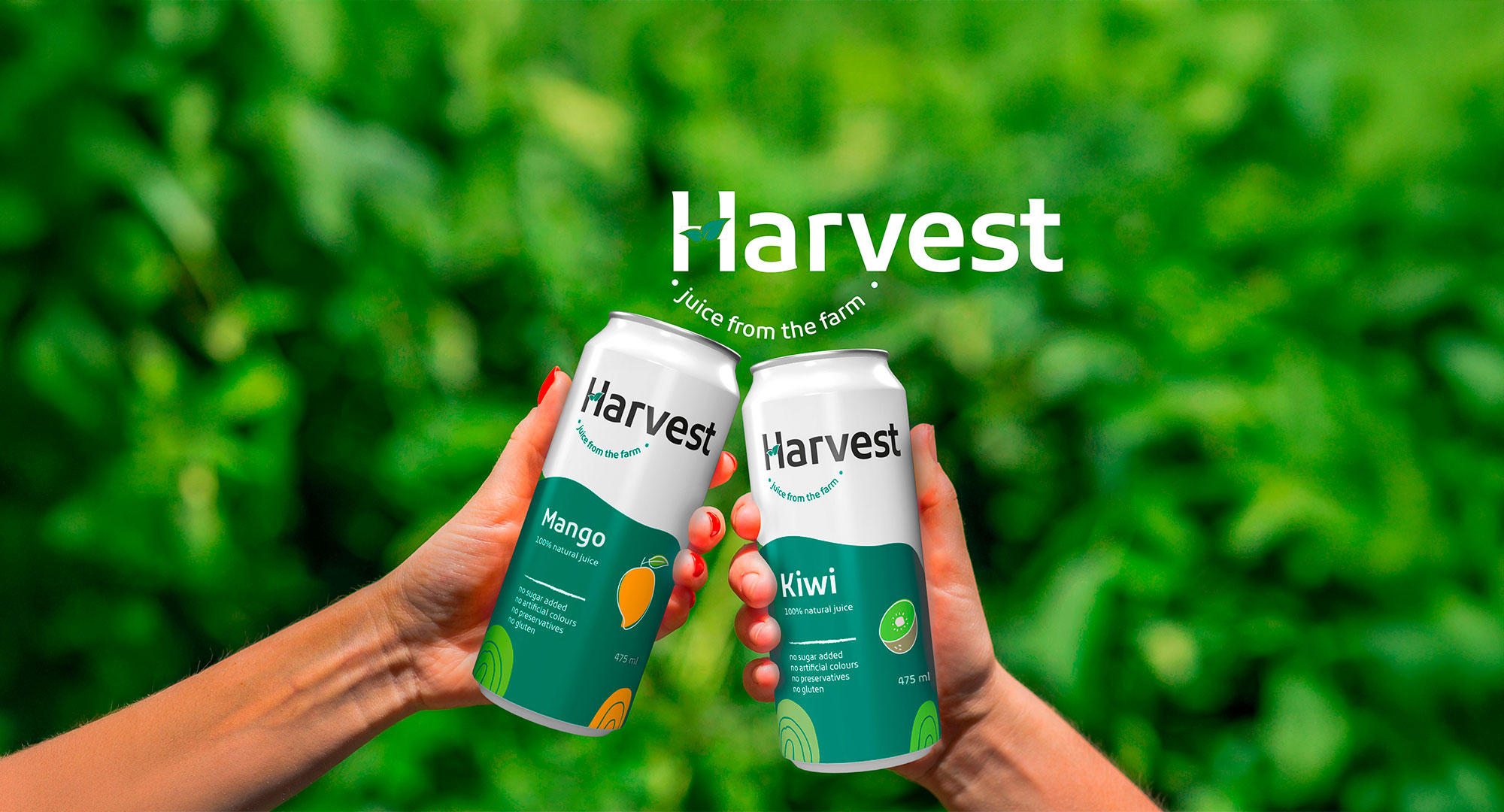 design-Harvest-site